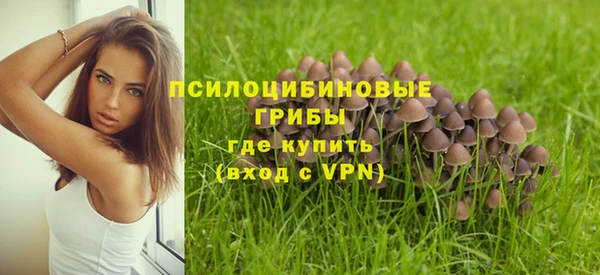 ALPHA PVP Алексеевка