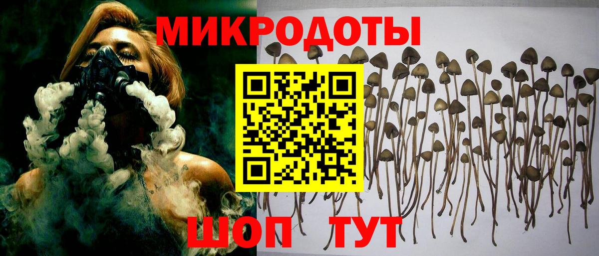 Галлюциногенные грибы Magic Shrooms Оренбург