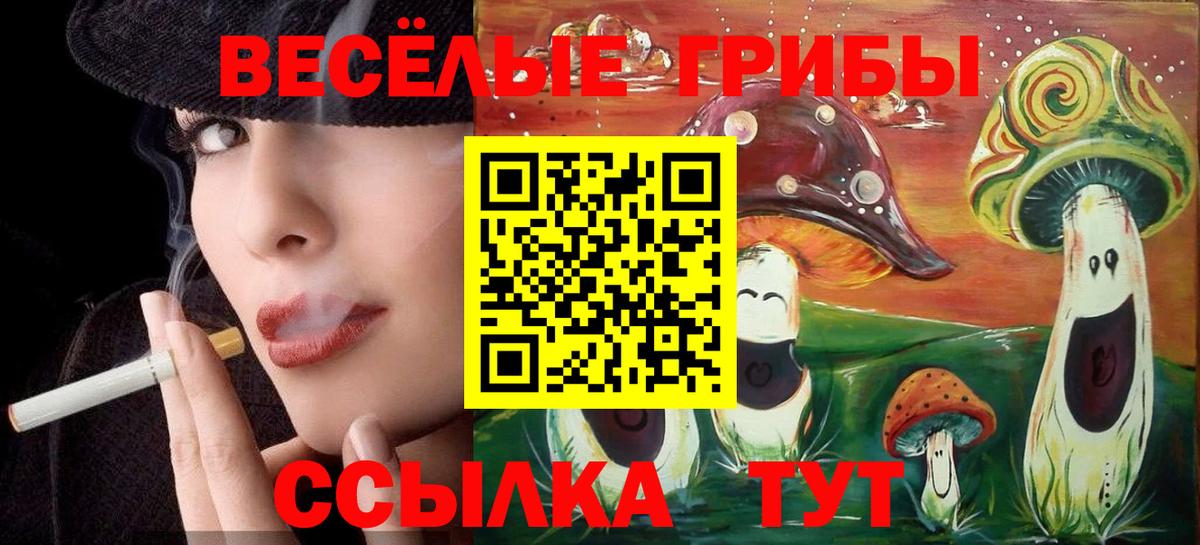 Оренбург  Галлюциногенные грибы Cubensis  Вход с VPN 