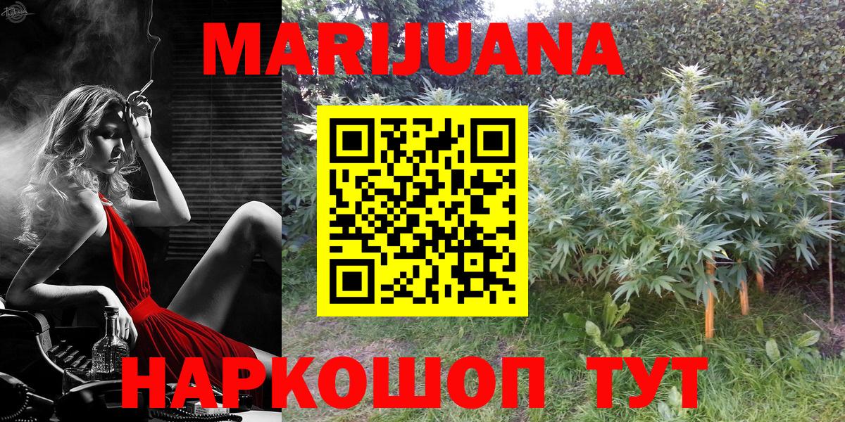 Оренбург  Конопля White Widow  МАРИХУАНА марихуана  Бошки Шишки планчик  Конопля конопля  Вход с VPN 